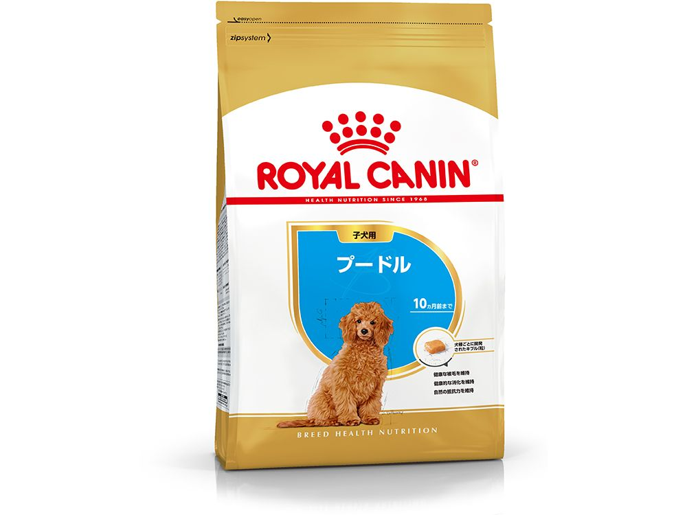 ロイヤルカナン プードル 子犬用 800g / ロイヤルカナン