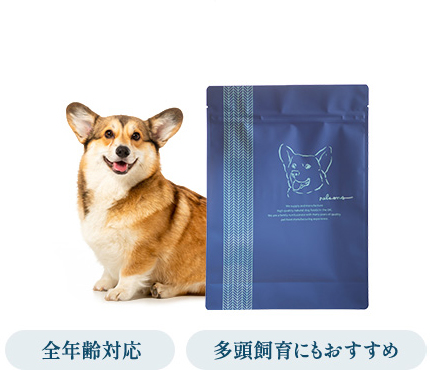 ネルソンズ